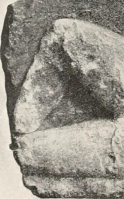 An illustration from Delphi, 1920, leaf 209
