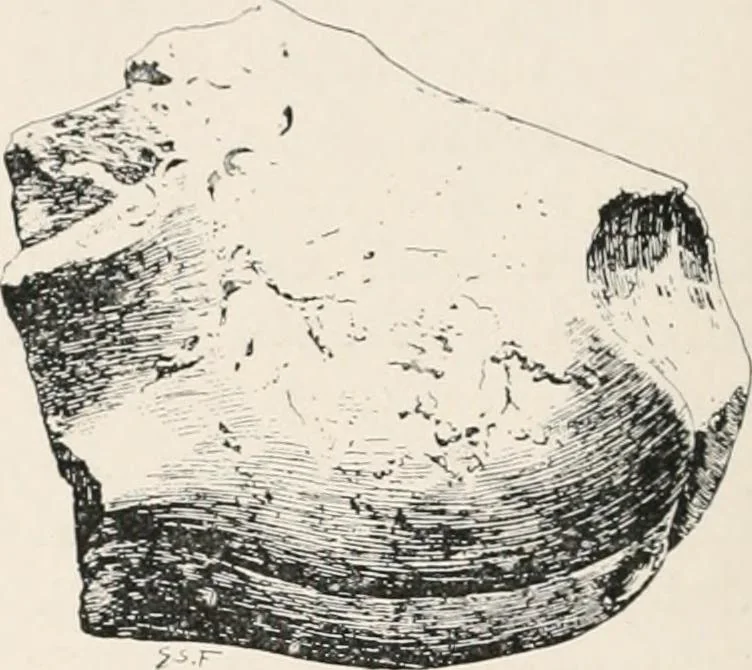 An illustration from Delphi, 1920, leaf 31