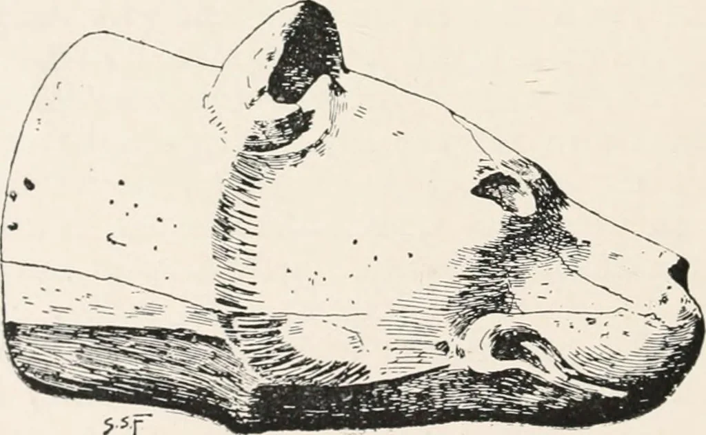 An illustration from Delphi, 1920, leaf 31