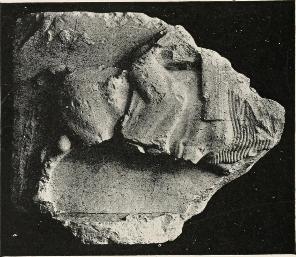 An illustration from Delphi, 1920, leaf 91