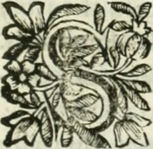 An illustration from Descripcion del Real Monasterio de San Lorenzo de el Escorial : vnica maravilla del mundo, fabrica de el prudentissimo rey Filipo Segundo, coronada por el catolico rey Filipo IV el Grande, con la magestuosa obra del Pantheon, y translacion de los cuerpos reales, reedificada por nuestro rey y señor Carlos II despues del incendio, y nuevamente exhornada con las excelentes pinturas de Lucas Jordan, 1698, leaf 316