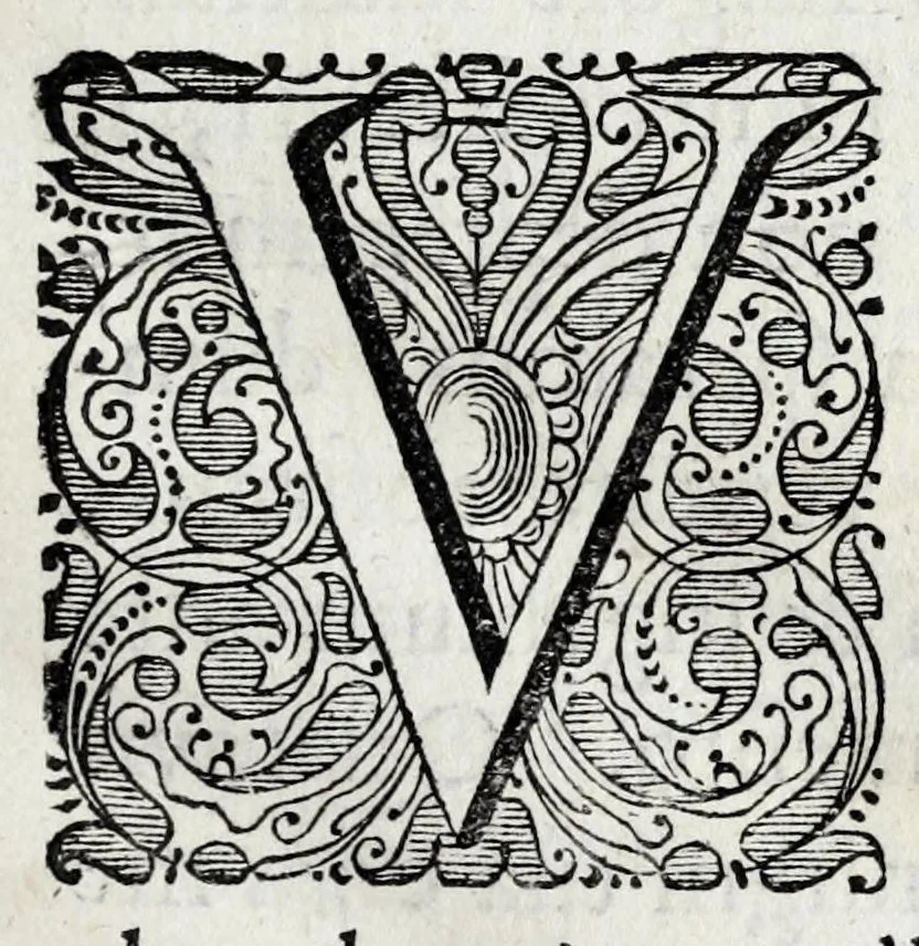 An illustration from De lucis natura et proprietate, 1662, leaf 11