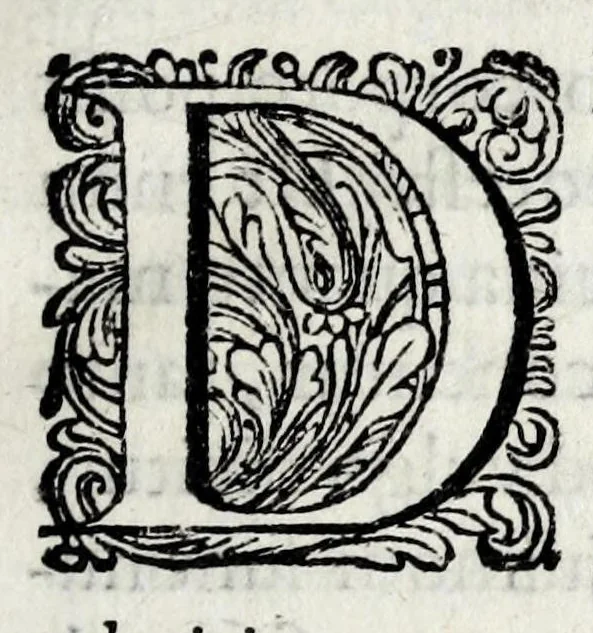 An illustration from De lucis natura et proprietate, 1662, leaf 17