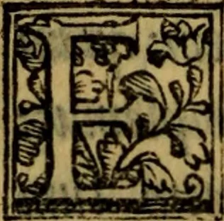 An illustration from De lumbricis alvum occupantibus, ac de ratione curandi eos : qui ab illis infestantur commentarius, 1547, leaf 105