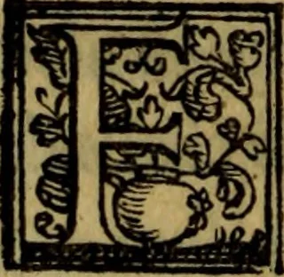 An illustration from De lumbricis alvum occupantibus, ac de ratione curandi eos : qui ab illis infestantur commentarius, 1547, leaf 115