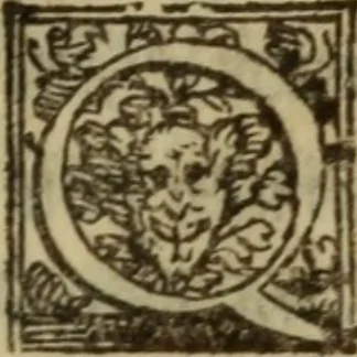 An illustration from De lumbricis alvum occupantibus, ac de ratione curandi eos : qui ab illis infestantur commentarius, 1547, leaf 124