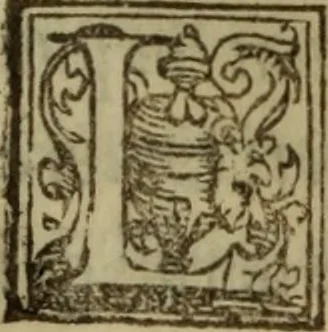 An illustration from De lumbricis alvum occupantibus, ac de ratione curandi eos : qui ab illis infestantur commentarius, 1547, leaf 24