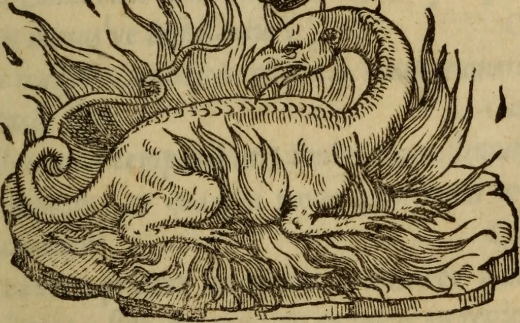 An illustration from De lumbricis alvum occupantibus, ac de ratione curandi eos : qui ab illis infestantur commentarius, 1547, leaf 4