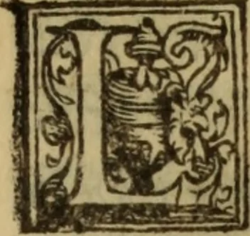 An illustration from De lumbricis alvum occupantibus, ac de ratione curandi eos : qui ab illis infestantur commentarius, 1547, leaf 56
