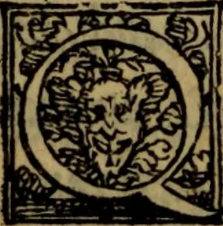 An illustration from De lumbricis alvum occupantibus, ac de ratione curandi eos : qui ab illis infestantur commentarius, 1547, leaf 69