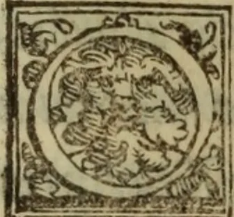 An illustration from De lumbricis alvum occupantibus, ac de ratione curandi eos : qui ab illis infestantur commentarius, 1547, leaf 88