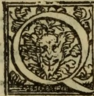 An illustration from De lumbricis alvum occupantibus, ac de ratione curandi eos : qui ab illis infestantur commentarius, 1547, leaf 94