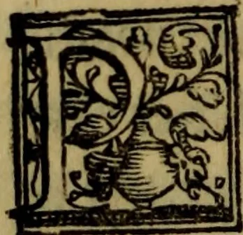 An illustration from De lumbricis alvum occupantibus, ac de ratione curandi eos : qui ab illis infestantur commentarius, 1547, leaf 95