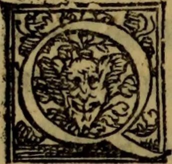 An illustration from De lumbricis alvum occupantibus, ac de ratione curandi eos : qui ab illis infestantur commentarius, 1547, leaf 99