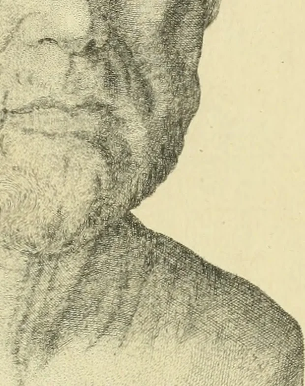 An illustration from De l'usage des statues chez les anciens : essai historique, 1768, leaf 554