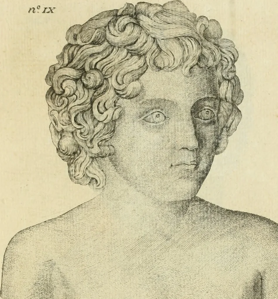 An illustration from De l'usage des statues chez les anciens : essai historique, 1768, leaf 558