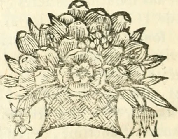 An illustration from De l'usure et des vrais moyens de l'eviter. Par l'usage de divers contrats licites, & approuvez par le droit civil & canonique, & par le droit France. Avec reglement pour des monts de pieté gratuits, & des modeles qu'on a jugé necessaires pour plusieurs de ces contrats, 1687, leaf 13
