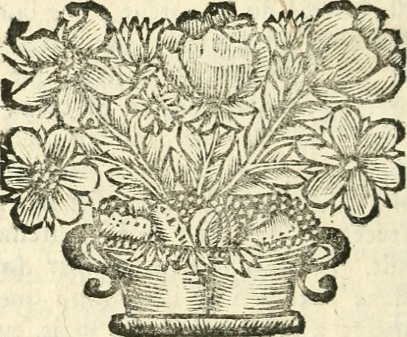 An illustration from De l'usure et des vrais moyens de l'eviter. Par l'usage de divers contrats licites, & approuvez par le droit civil & canonique, & par le droit France. Avec reglement pour des monts de pieté gratuits, & des modeles qu'on a jugé necessaires pour plusieurs de ces contrats, 1687, leaf 203