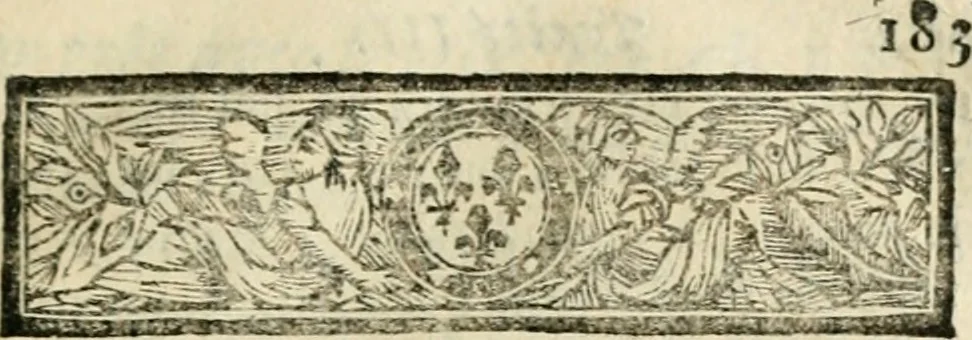 An illustration from De l'usure et des vrais moyens de l'eviter. Par l'usage de divers contrats licites, & approuvez par le droit civil & canonique, & par le droit France. Avec reglement pour des monts de pieté gratuits, & des modeles qu'on a jugé necessaires pour plusieurs de ces contrats, 1687, leaf 204