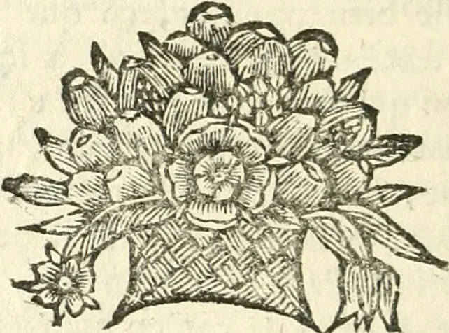 An illustration from De l'usure et des vrais moyens de l'eviter. Par l'usage de divers contrats licites, & approuvez par le droit civil & canonique, & par le droit France. Avec reglement pour des monts de pieté gratuits, & des modeles qu'on a jugé necessaires pour plusieurs de ces contrats, 1687, leaf 381
