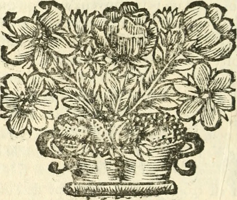 An illustration from De l'usure et des vrais moyens de l'eviter. Par l'usage de divers contrats licites, & approuvez par le droit civil & canonique, & par le droit France. Avec reglement pour des monts de pieté gratuits, & des modeles qu'on a jugé necessaires pour plusieurs de ces contrats, 1687, leaf 429