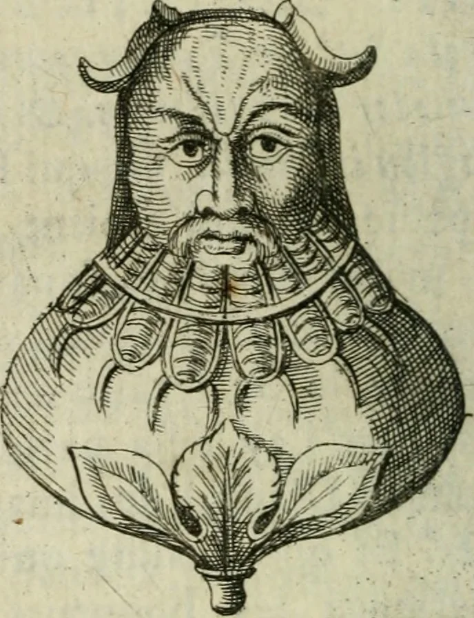 An illustration from De l'utilité des voyages, 1686, leaf 191