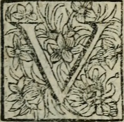 An illustration from De l'utilité des voyages, 1686, leaf 26