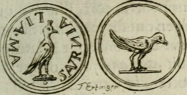 An illustration from De l'utilité des voyages, 1686, leaf 282