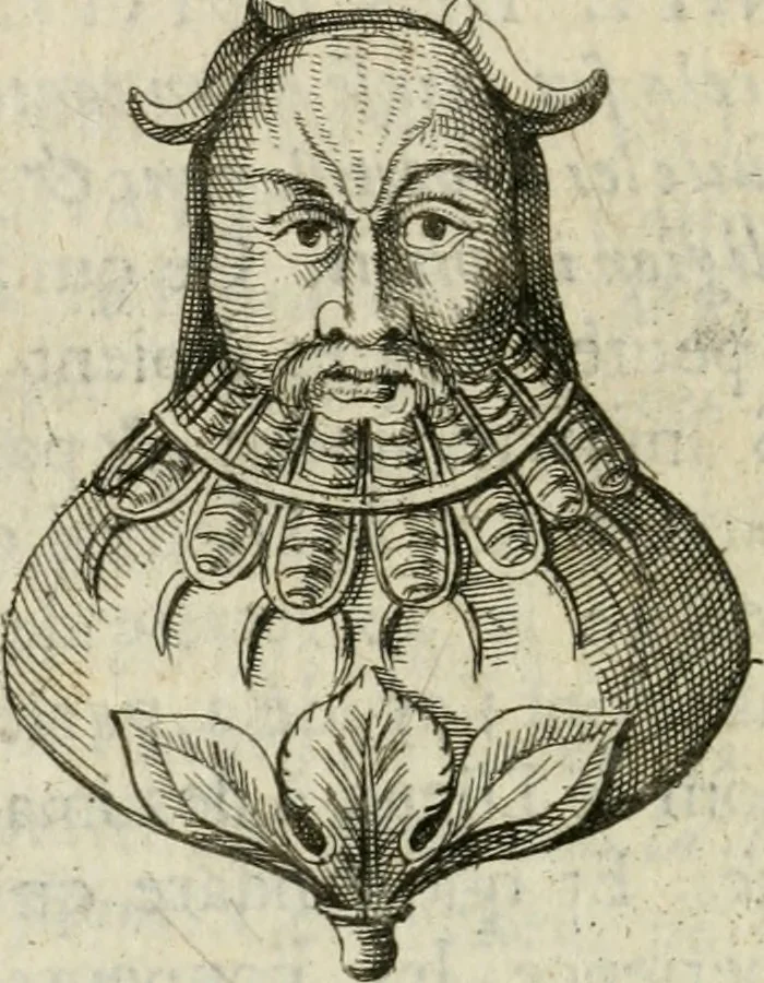 An illustration from De l'utilité des voyages : et de l'avantage que la recherche des antiquitez procure aux sçavans, 1686, leaf 187