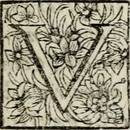 An illustration from De l'utilité des voyages : et de l'avantage que la recherche des antiquitez procure aux sçavans, 1686, leaf 22