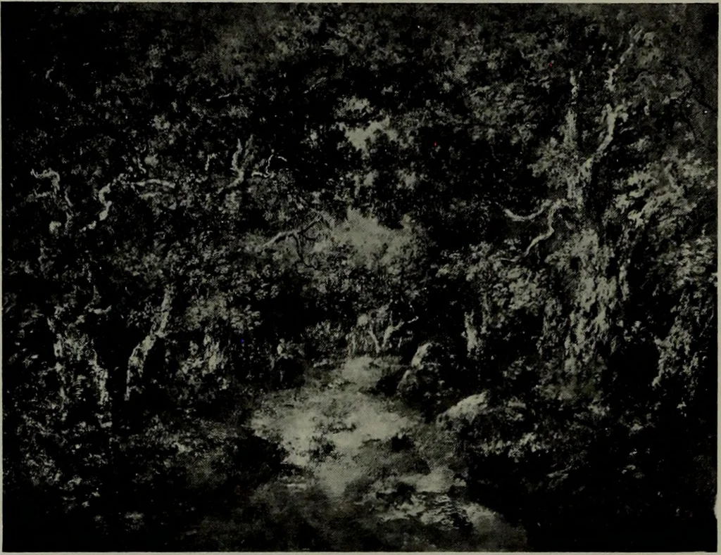 An illustration from De luxe illustrated catalogue of the notable art collection formed by the late George A. Hearn ... to be sold at unrestricted public sale, as directed by the terms of the will, Clarkson Cowl, Herbert Spencer Greims and George E. Schank, executors, on the afternoons and evenings at the places herein stated .., 1918, leaf 167
