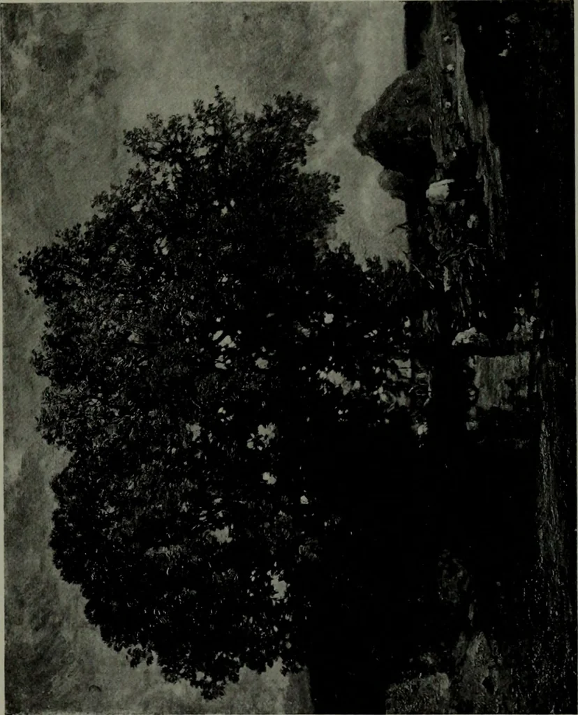 An illustration from De luxe illustrated catalogue of the notable art collection formed by the late George A. Hearn ... to be sold at unrestricted public sale, as directed by the terms of the will, Clarkson Cowl, Herbert Spencer Greims and George E. Schank, executors, on the afternoons and evenings at the places herein stated .., 1918, leaf 212