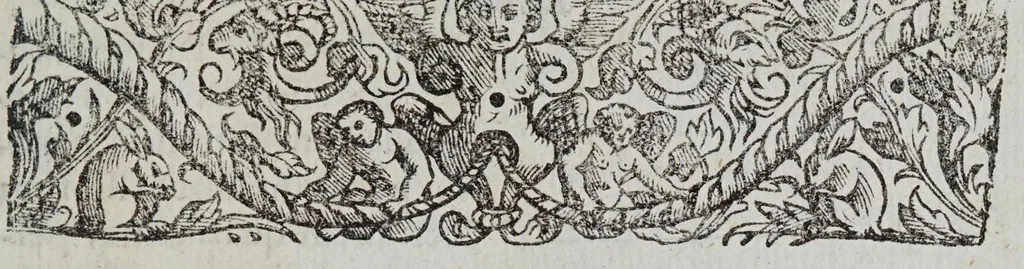 An illustration from De maculis solarib. et stellis circa Iouem errantibus : accuratior disquisitio, ad Marcum Velserum ... perscripta. Interiectis obseruationum delineationibus, 1612, leaf 9