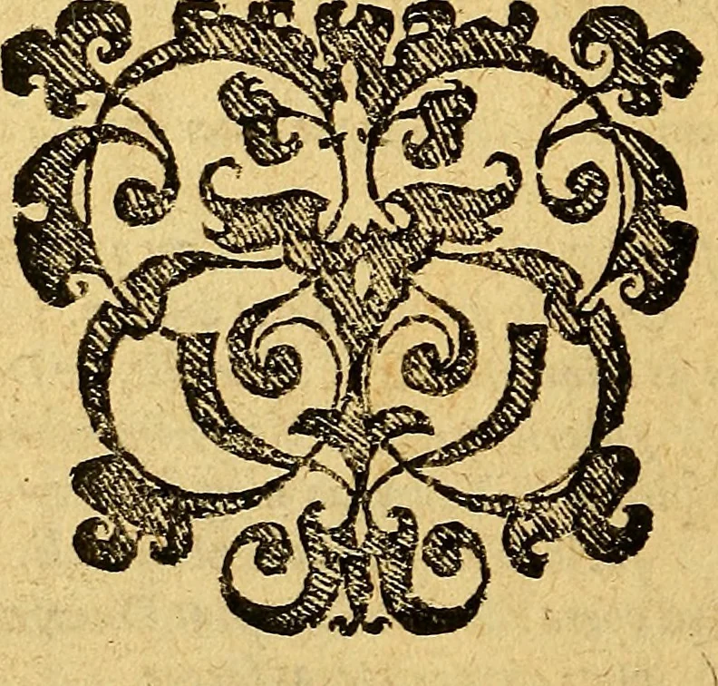 An illustration from De magia, : de observatione somniorvm, et de divinatione astrologica, libri tres. Adversvs fallaces, et svperstitiosas artes., 1598, leaf 13