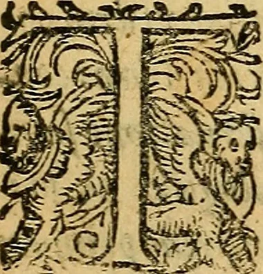 An illustration from De magia, : de observatione somniorvm, et de divinatione astrologica, libri tres. Adversvs fallaces, et svperstitiosas artes., 1598, leaf 8