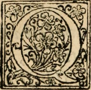 An illustration from De manu regia tractatus : prima[-secunda] pars : inquo, omnium legum regiarum (quibus regi Portugalliae inuictissimo, in causis ecclesiasticis cognitio permissa est) ex iure, priuilegio, consuetudine, seu concordia, sensus, & vera decidendi ratio aperitur, 1622, leaf 133