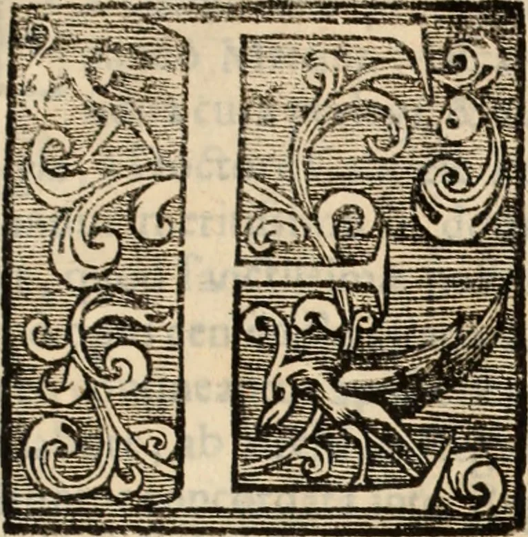 An illustration from De manu regia tractatus : prima[-secunda] pars : inquo, omnium legum regiarum (quibus regi Portugalliae inuictissimo, in causis ecclesiasticis cognitio permissa est) ex iure, priuilegio, consuetudine, seu concordia, sensus, & vera decidendi ratio aperitur, 1622, leaf 20