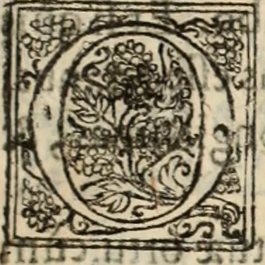 An illustration from De manu regia tractatus : prima[-secunda] pars : inquo, omnium legum regiarum (quibus regi Portugalliae inuictissimo, in causis ecclesiasticis cognitio permissa est) ex iure, priuilegio, consuetudine, seu concordia, sensus, & vera decidendi ratio aperitur, 1622, leaf 6