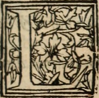 An illustration from De manu regia tractatus : prima[-secunda] pars : inquo, omnium legum regiarum (quibus regi Portugalliae inuictissimo, in causis ecclesiasticis cognitio permissa est) ex iure, priuilegio, consuetudine, seu concordia, sensus, & vera decidendi ratio aperitur, 1622, leaf 122