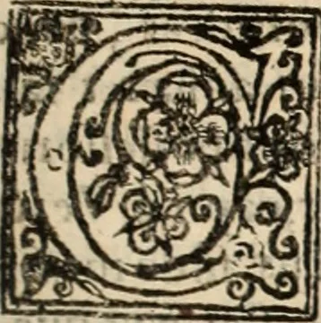 An illustration from De manu regia tractatus : prima[-secunda] pars : inquo, omnium legum regiarum (quibus regi Portugalliae inuictissimo, in causis ecclesiasticis cognitio permissa est) ex iure, priuilegio, consuetudine, seu concordia, sensus, & vera decidendi ratio aperitur, 1622, leaf 124