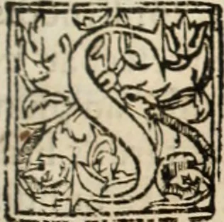 An illustration from De manu regia tractatus : prima[-secunda] pars : inquo, omnium legum regiarum (quibus regi Portugalliae inuictissimo, in causis ecclesiasticis cognitio permissa est) ex iure, priuilegio, consuetudine, seu concordia, sensus, & vera decidendi ratio aperitur, 1622, leaf 142