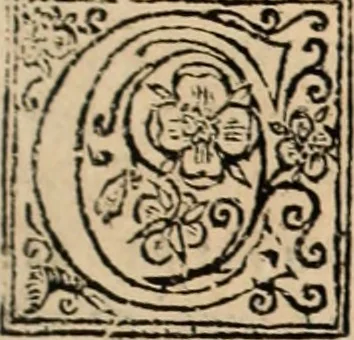 An illustration from De manu regia tractatus : prima[-secunda] pars : inquo, omnium legum regiarum (quibus regi Portugalliae inuictissimo, in causis ecclesiasticis cognitio permissa est) ex iure, priuilegio, consuetudine, seu concordia, sensus, & vera decidendi ratio aperitur, 1622, leaf 156