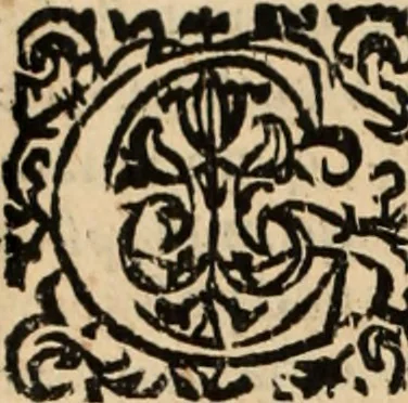 An illustration from De manu regia tractatus : prima[-secunda] pars : inquo, omnium legum regiarum (quibus regi Portugalliae inuictissimo, in causis ecclesiasticis cognitio permissa est) ex iure, priuilegio, consuetudine, seu concordia, sensus, & vera decidendi ratio aperitur, 1622, leaf 163