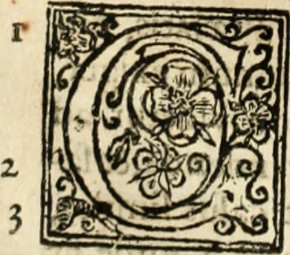 An illustration from De manu regia tractatus : prima[-secunda] pars : inquo, omnium legum regiarum (quibus regi Portugalliae inuictissimo, in causis ecclesiasticis cognitio permissa est) ex iure, priuilegio, consuetudine, seu concordia, sensus, & vera decidendi ratio aperitur, 1622, leaf 167
