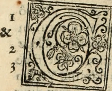 An illustration from De manu regia tractatus : prima[-secunda] pars : inquo, omnium legum regiarum (quibus regi Portugalliae inuictissimo, in causis ecclesiasticis cognitio permissa est) ex iure, priuilegio, consuetudine, seu concordia, sensus, & vera decidendi ratio aperitur, 1622, leaf 183