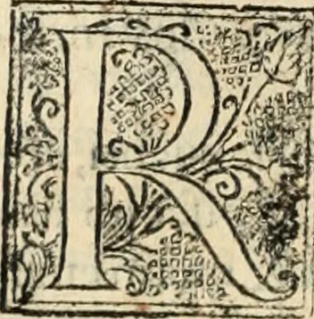 An illustration from De manu regia tractatus : prima[-secunda] pars : inquo, omnium legum regiarum (quibus regi Portugalliae inuictissimo, in causis ecclesiasticis cognitio permissa est) ex iure, priuilegio, consuetudine, seu concordia, sensus, & vera decidendi ratio aperitur, 1622, leaf 183