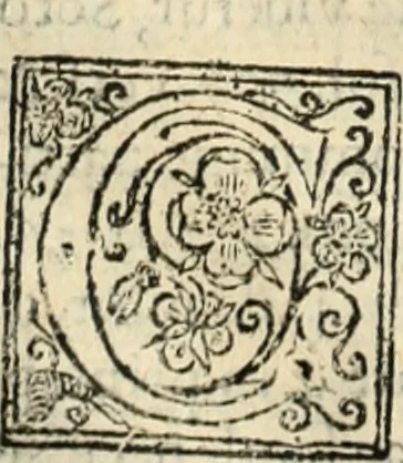 An illustration from De manu regia tractatus : prima[-secunda] pars : inquo, omnium legum regiarum (quibus regi Portugalliae inuictissimo, in causis ecclesiasticis cognitio permissa est) ex iure, priuilegio, consuetudine, seu concordia, sensus, & vera decidendi ratio aperitur, 1622, leaf 185