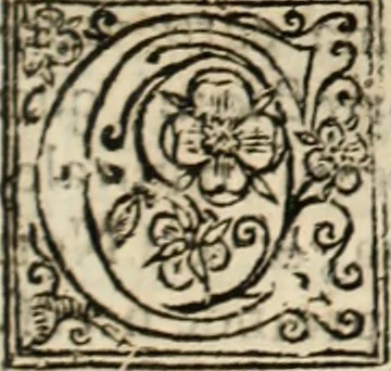 An illustration from De manu regia tractatus : prima[-secunda] pars : inquo, omnium legum regiarum (quibus regi Portugalliae inuictissimo, in causis ecclesiasticis cognitio permissa est) ex iure, priuilegio, consuetudine, seu concordia, sensus, & vera decidendi ratio aperitur, 1622, leaf 186
