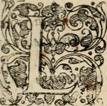 An illustration from De manu regia tractatus : prima[-secunda] pars : inquo, omnium legum regiarum (quibus regi Portugalliae inuictissimo, in causis ecclesiasticis cognitio permissa est) ex iure, priuilegio, consuetudine, seu concordia, sensus, & vera decidendi ratio aperitur, 1622, leaf 208