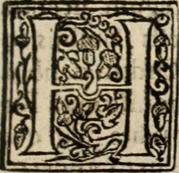 An illustration from De manu regia tractatus : prima[-secunda] pars : inquo, omnium legum regiarum (quibus regi Portugalliae inuictissimo, in causis ecclesiasticis cognitio permissa est) ex iure, priuilegio, consuetudine, seu concordia, sensus, & vera decidendi ratio aperitur, 1622, leaf 210